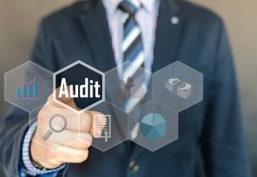 Comprehensive site audit